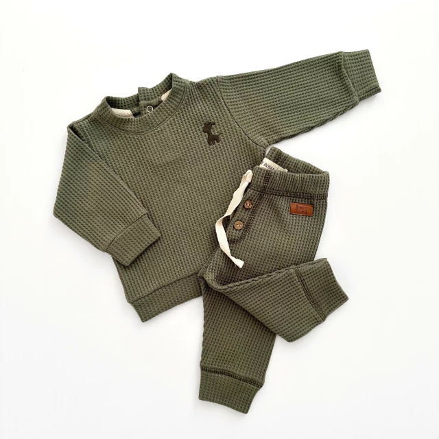 CONJUNTO PANAL VERDE PRADERA – Pañalera Belyan